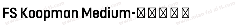 FS Koopman Medium字体转换